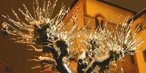 Musee d'Art et d'Histoire d'Albertville