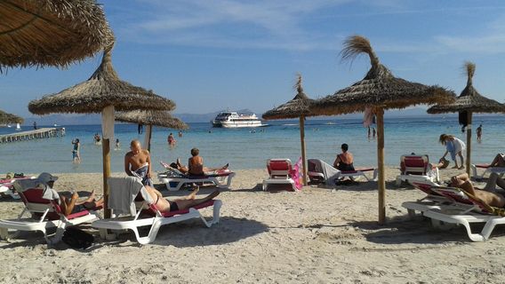 Alcudia