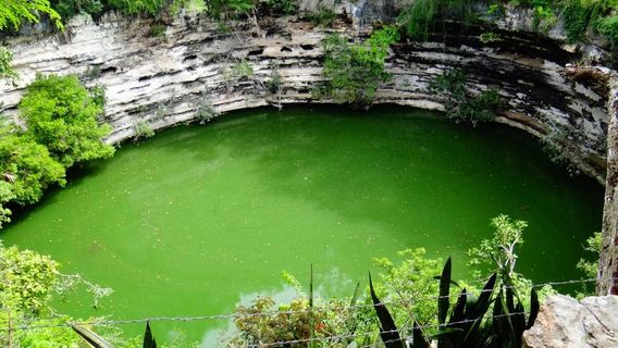 Sacred Cenote