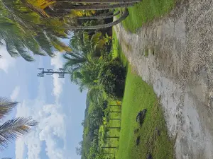 Barbados Wildlife Reserve