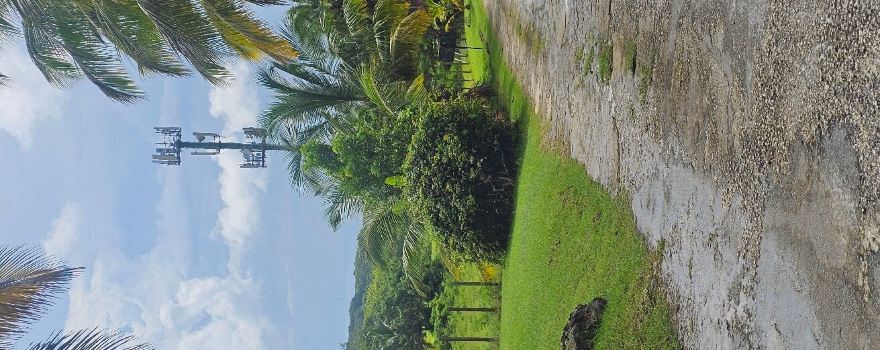 Barbados Wildlife Reserve