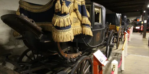 Tyrwhitt-Drake Museum