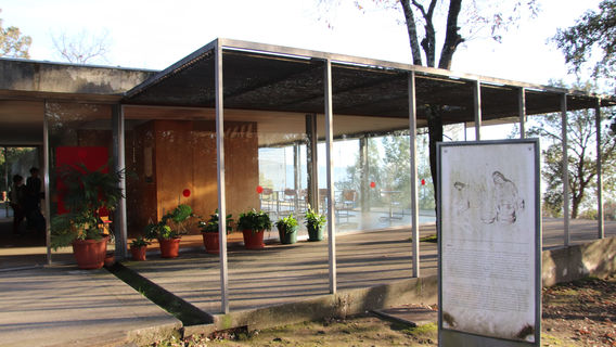 Citania de Briteiros