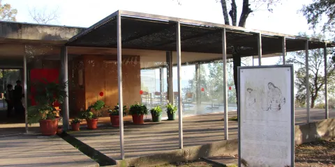 Citania de Briteiros