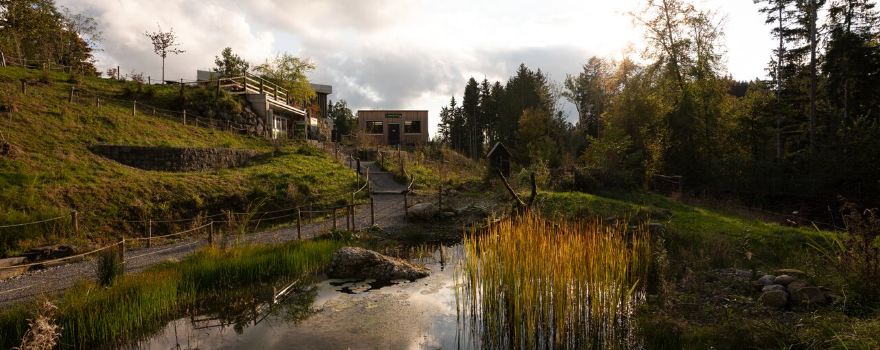 Walter Zoo