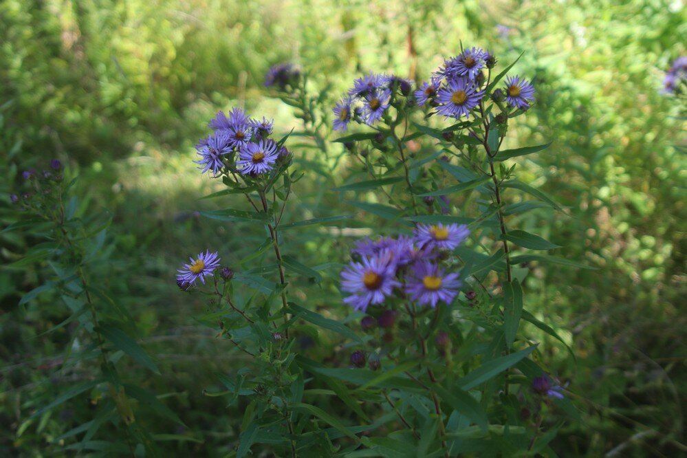 Pretty River Valley Provincial Park