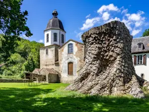 Escaladieu Abbey