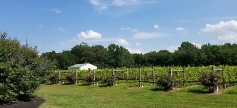 グロスターのホテル