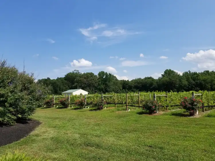 Hotels in Gloucester County