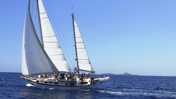 Sailing Yacht Mephisto