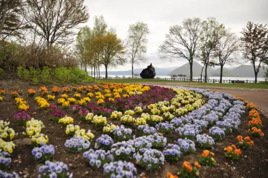 鄰近有珠山噴火紀念公園的酒店
