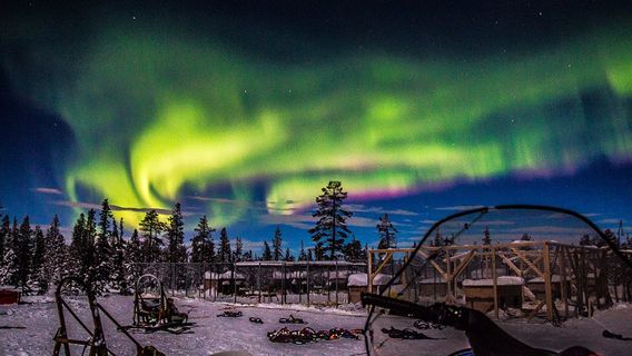 Snowdog Arctic Adventures