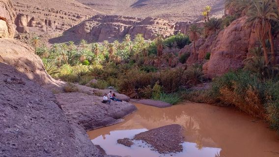 DESERT OFFROAD ADVENTURE MAROC QUAD BUGGY MOTO