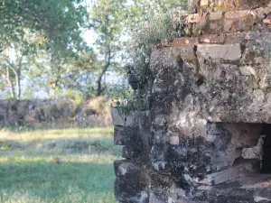 Fuerte Olimpo