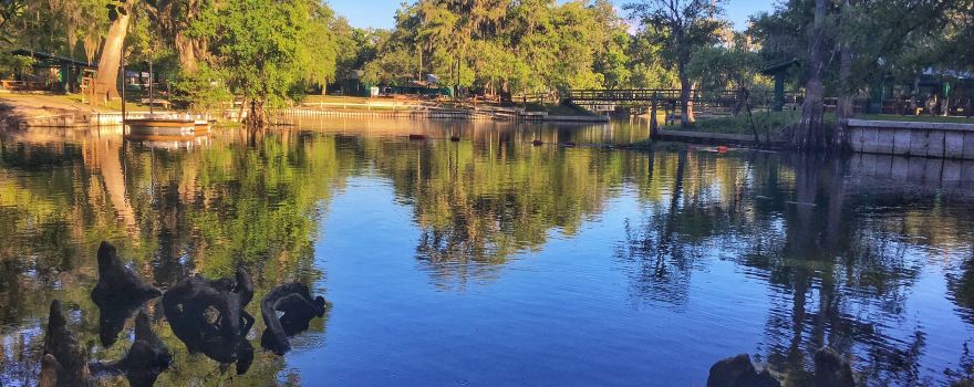 Hart Springs