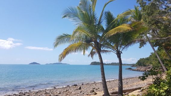 Kennedy Walking Track