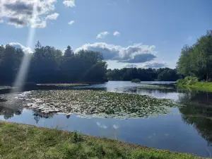 Reserve Naturelle des Tourbieres