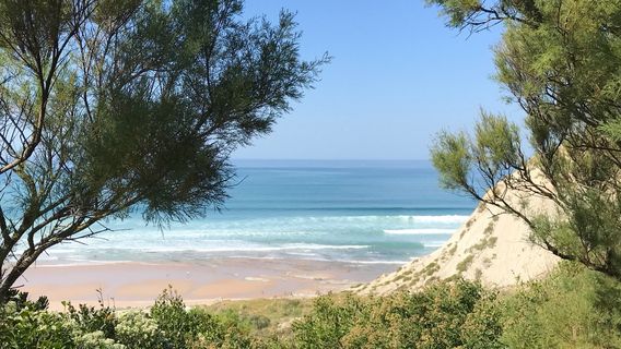 Plage d'Erretegia
