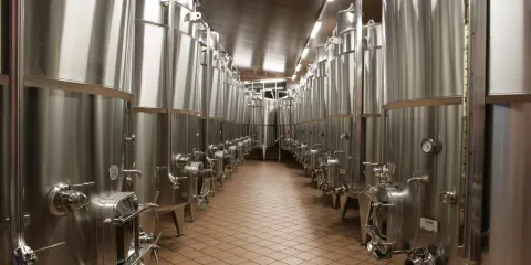 Cantine Farneto del Principe