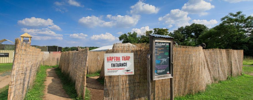 Field Station: Dinosaurs