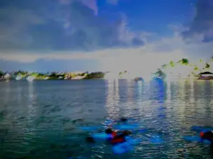 Bio-luminescent Bay