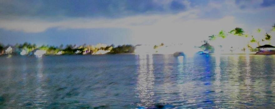 Bio-luminescent Bay