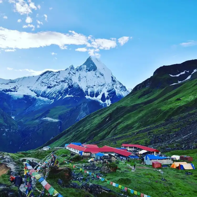 Kaski