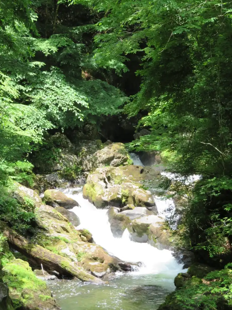 Hotels in Jinsekikogen