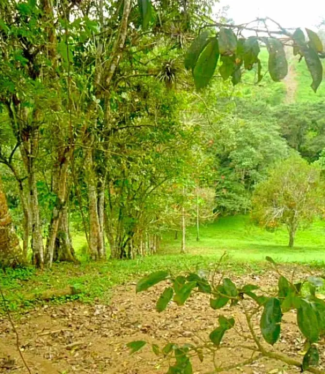Santo Domingo de los Colorados