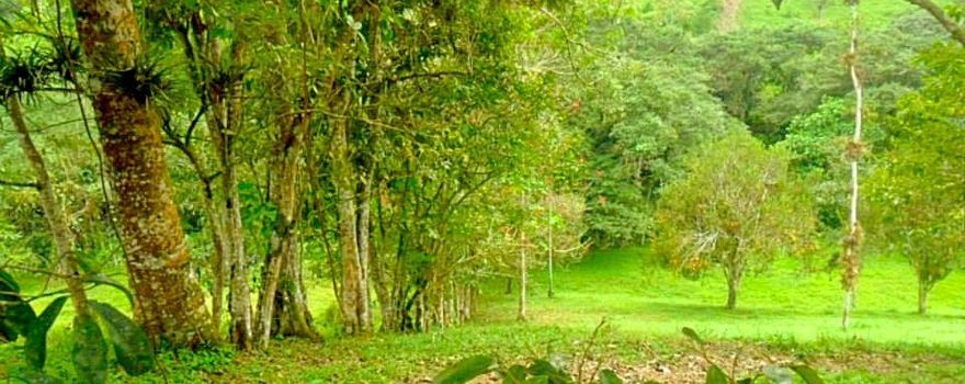 Provinz Santo Domingo de los Tsáchilas
