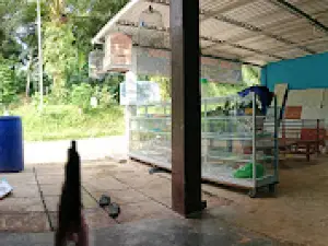 Sumbersari 1