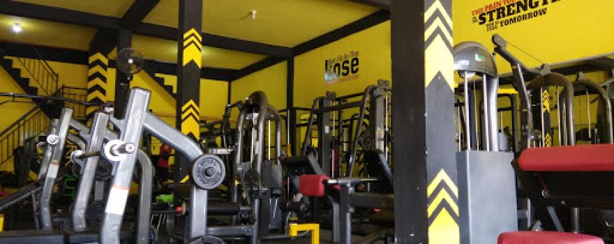 AFJ & GYM