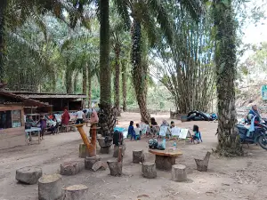 Wisata Alam Sungai Sesirih