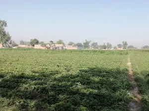 Peer asghar chishti