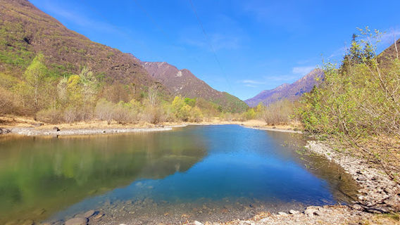 Le golene della Valle Maggia