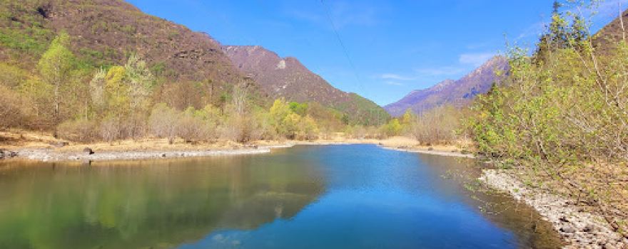 Le golene della Valle Maggia