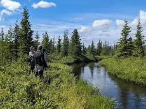 Denali Angler