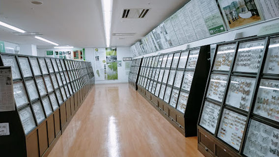 Kurashiki Insectarium