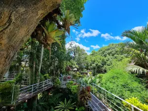 Garden of Uncle Black (Suan Nai Dum)