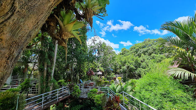 Garden of Uncle Black (Suan Nai Dum)