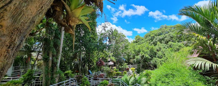 Garden of Uncle Black (Suan Nai Dum)
