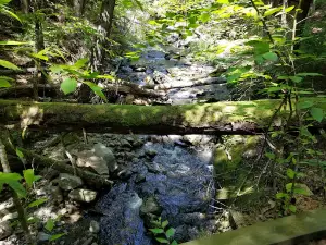 Jacobs Brook Campground