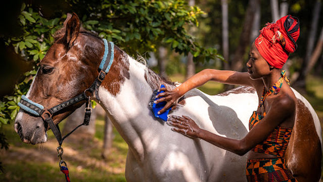 Zanzibar Horse Safaris - Mangapwani