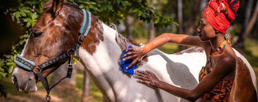 Zanzibar Horse Safaris - Mangapwani