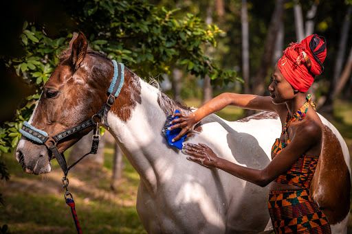 Zanzibar Horse Safaris - Mangapwani