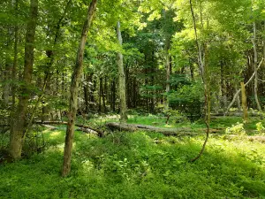 Pope Lick Park