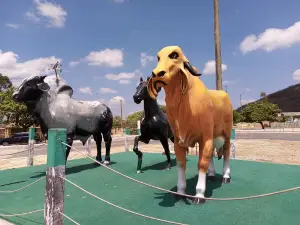 Itapipoca Fairground
