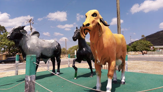 Itapipoca Fairground