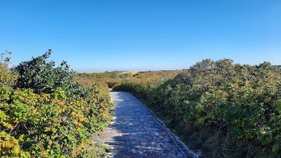 Höhenpromenade Langeoog