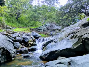 Piscina Naturales